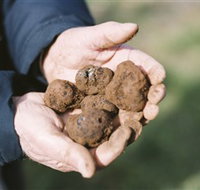 A Slice of Orange - Foster Accommodation
