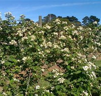 Huntley Berry Farm - Foster Accommodation
