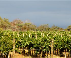 Amulet Vineyard And Beechworth Cider - Foster Accommodation 7