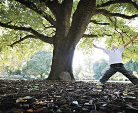 Albury Botanic Gardens - Foster Accommodation 1