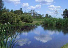 Yan Yean Reservoir Park - Foster Accommodation 0