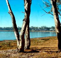 Lake Broadwater Conservation Park - Foster Accommodation
