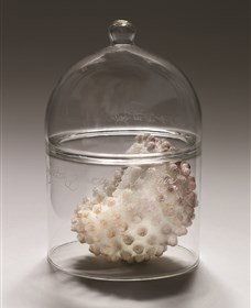 ANU School Of Art Gallery - Foster Accommodation 2