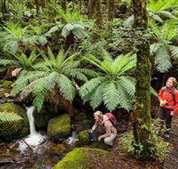 Baw Baw National Park - Foster Accommodation