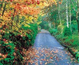 Mount Wilson And Mount Irvine - Foster Accommodation 0