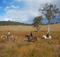 Chapman Valley Horse Riding - Foster Accommodation