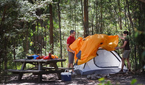 Bald Rock National Park - Foster Accommodation 1