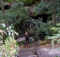 Leura Cascades Fern Bower - Foster Accommodation