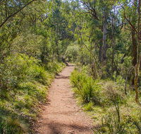 Mares Forest Creek walking track - Foster Accommodation