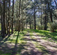Wombeyan Waterfall walking track - Foster Accommodation