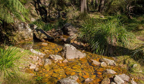 Wombeyan Waterfall Walking Track - Foster Accommodation 1