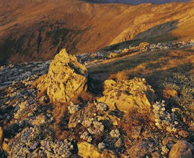 Kosciuszko National Park - Charlottes Pass To Snowy River - Foster Accommodation 1