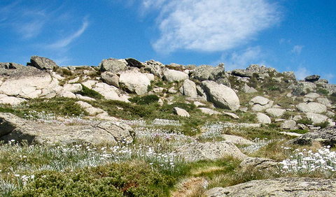 Mount Stillwell Walk - Foster Accommodation 1