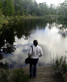 Boonoo Boonoo Falls National Park - Foster Accommodation 1