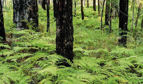 River Walk - Foster Accommodation 2