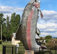 Big Trout - Foster Accommodation