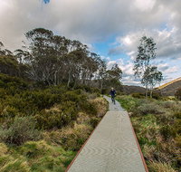 Thredbo Valley track - Foster Accommodation