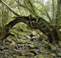 Mitchell River Walking Track - Foster Accommodation