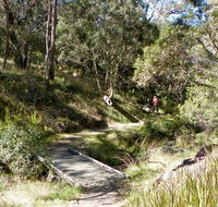Wollomombi walking track - Foster Accommodation