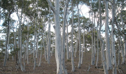 Green Track - Foster Accommodation 1