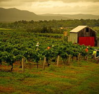 Around Hermitage Wine and Food Trail Hunter Valley - Foster Accommodation