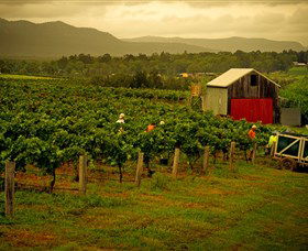 Around Hermitage Wine And Food Trail Hunter Valley - Foster Accommodation 0