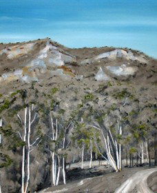 Greg Wilson Gallery - Foster Accommodation 2