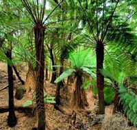 Pegarah Private Nature Reserve  Parenna Place - Foster Accommodation