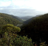 Nattai Gorge Lookout - Foster Accommodation
