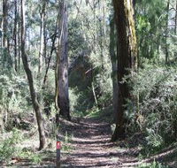 Box Vale Mine Walking Track and Lookout - Foster Accommodation