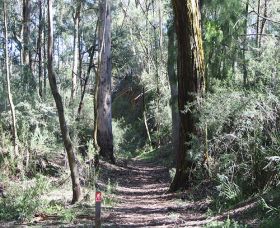 Box Vale Mine Walking Track And Lookout - Foster Accommodation 0