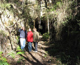 Box Vale Mine Walking Track And Lookout - Foster Accommodation 4