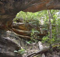 Cave Creek Walking Track - Foster Accommodation