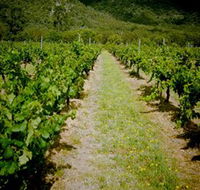 Gartelmann Wines - Foster Accommodation