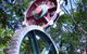 Ellena Street Pavement Art And Sculpture - thumb 0