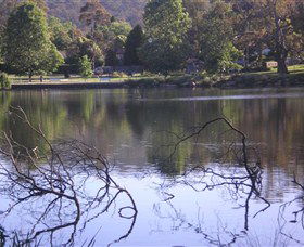 Lake Alexandra Reserve - Foster Accommodation 2