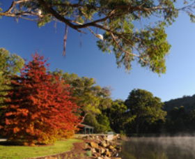 Lake Alexandra Reserve - Foster Accommodation 1