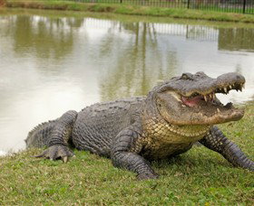 Hunter Valley Zoo - Foster Accommodation 1