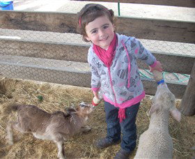 Hunter Valley Zoo - Foster Accommodation 4