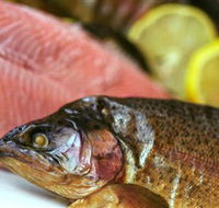 Lovedale Smokehouse Gourmet Pantry Cafe and Masterclasses - Foster Accommodation