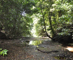 State Forests Of The Watagan Mountains - Foster Accommodation 1