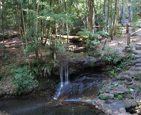State Forests Of The Watagan Mountains - Foster Accommodation 3