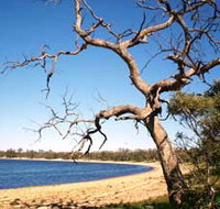 Lake Indoon - Foster Accommodation