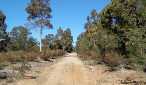Werakata National Park - Foster Accommodation 0