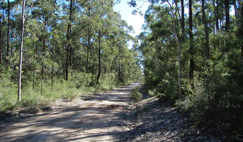 Werakata National Park - Foster Accommodation 2