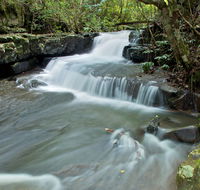 Jerusalem Creek trail - Foster Accommodation