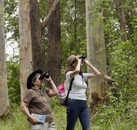 Chichester State Forest - Foster Accommodation