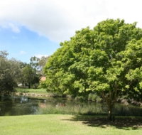 Hervey Bay Botanic Gardens - Foster Accommodation