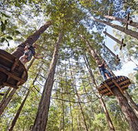 TreeTop Adventure Park Central Coast - Foster Accommodation