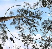 TreeTops Crazy Rider - Foster Accommodation